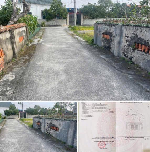 Đất nền Xã Mỹ Lộc, Huyện Thái Thụy 248m² giá 8 triệu - Cơ hội đầu tư sinh lời!