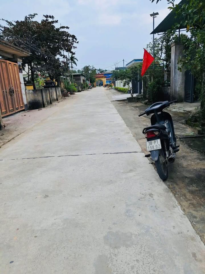 Đất nền Cẩm Thành - 128m² giá 799 triệu - Vị trí đẹp, đầu tư sinh lời!