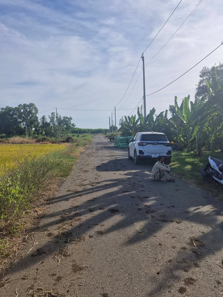 Đất nông nghiệp 1,9 mẫu tại Phước Long Thọ - Giá 11.21 tỷ - Cơ hội đầu tư hiếm có!