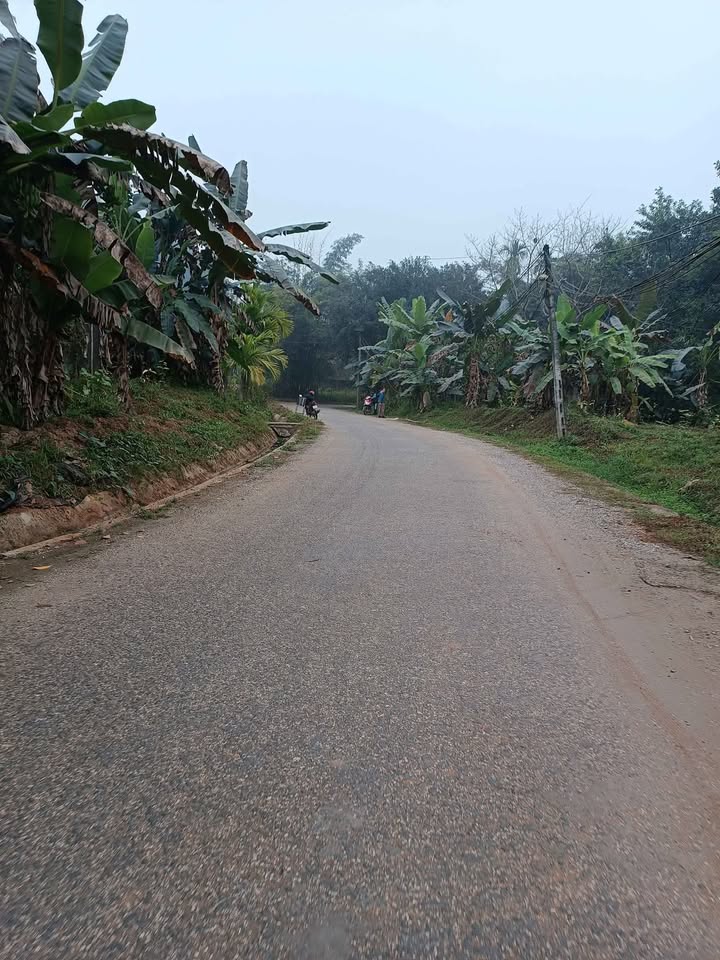 Đất nền Yên Bái 500m² giá 1.6 tỷ - Cơ hội đầu tư tuyệt vời!