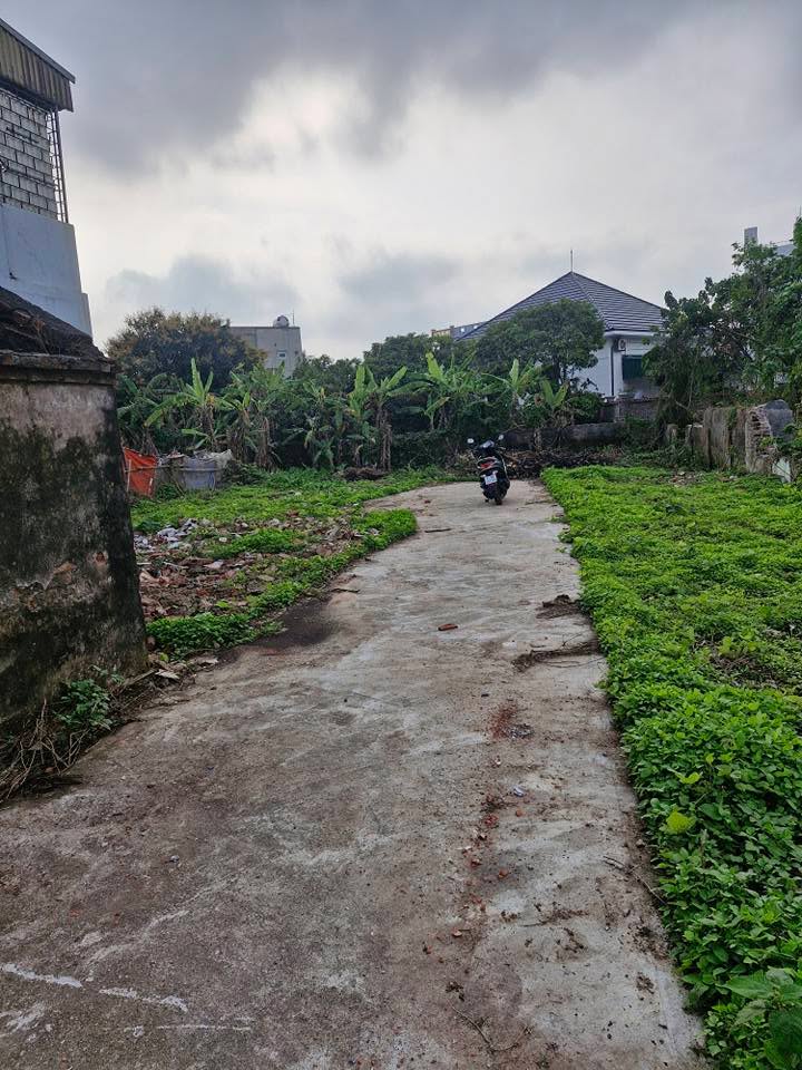 Đất thổ cư Hòa Bình, Kiến Xương 125m² giá tốt - Cơ hội đầu tư hiếm có!