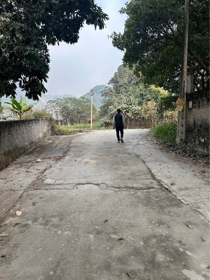 Đất nền Phường Nông Tiến, Tuyên Quang 350m² giá 2 tỷ - Đường ô tô tránh nhau