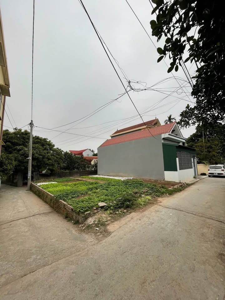 Đất nền lô góc 3 mặt tiền Trác Văn 65m² giá 1.499 tỷ - Đầu tư sinh lời ngay!