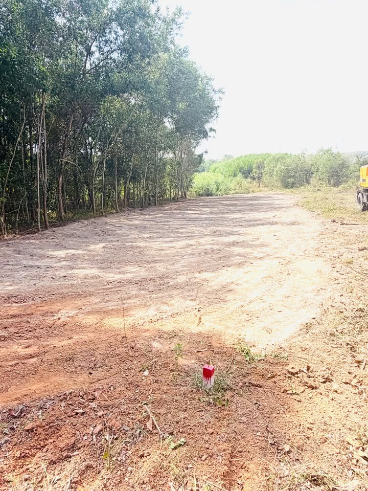 Đất nền chính chủ Khu phố 5, xã Minh Tâm, 360m² - Giá chỉ 500 triệu