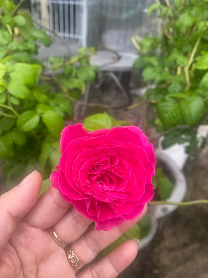 Đất thổ cư 240m² hẻm 317 Nguyễn Văn Linh, giá chỉ 700 triệu - Cơ hội đầu tư tuyệt vời!