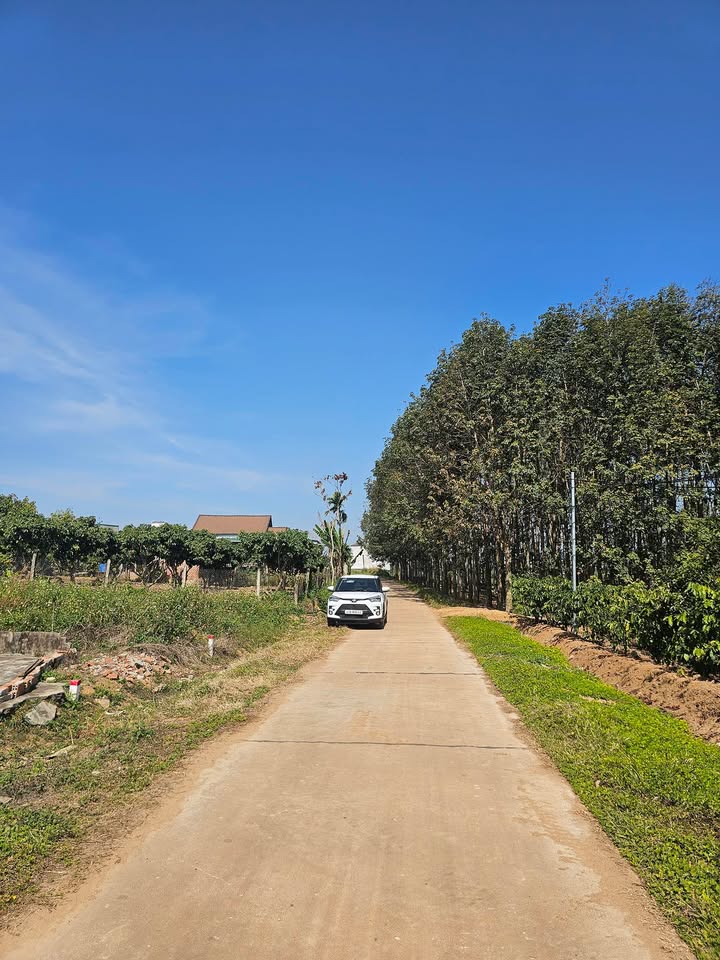 Lô đất thổ cư 204m² tại Ea Đar, Ea Kar - Giá chỉ 265 triệu, view hồ đẹp!