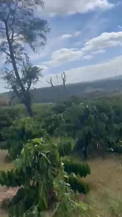 Farm Đẹp 1.15ha tại Xã Ea Đar, Huyện Ea Kar - Giá 3.1 tỷ, Cơ hội đầu tư tuyệt vời!