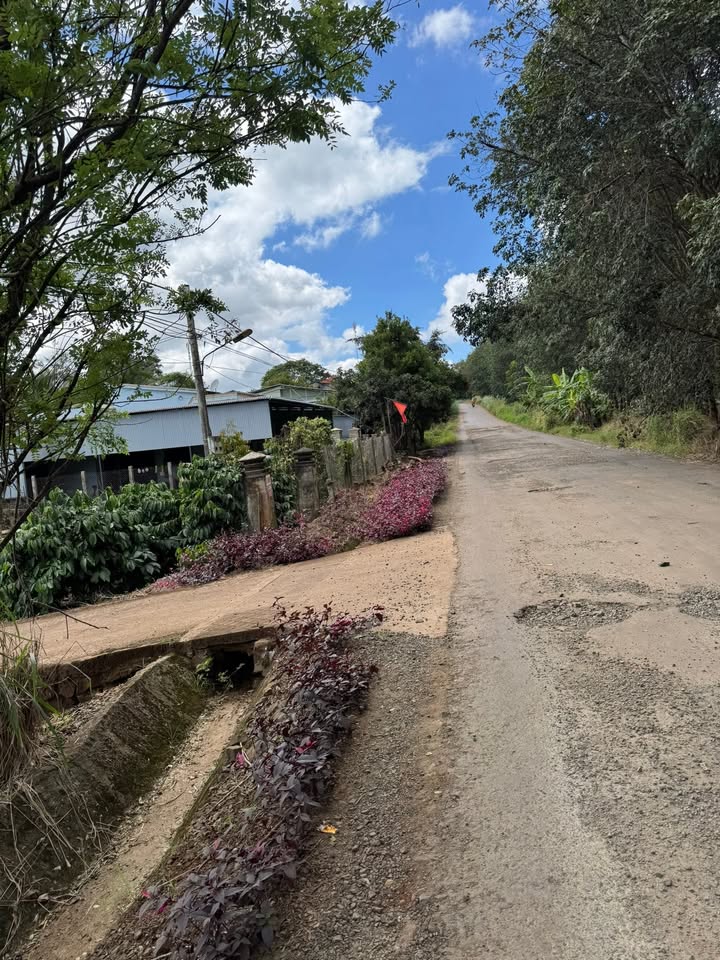 Đất nền mặt đường Nhựa Thôn 2, Xã Ea Kly, 828m² giá chỉ 1.3 tỷ - Mua 1 tặng 1!