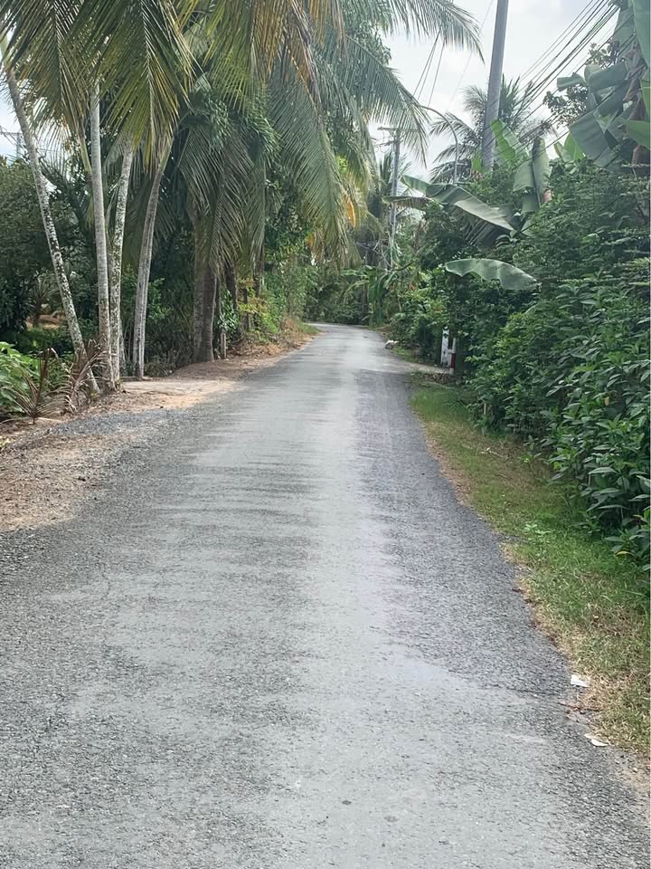 Lô đất 730m² tại phường Sơn Đông, TP. Bến Tre - Giá chỉ 1.6 tỷ, thương lượng nhẹ!