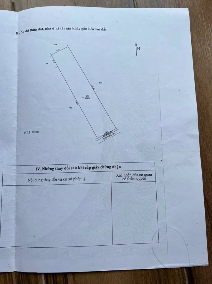 Mảnh vườn 2.548m² Rạch Chuối, An Bình - Giá chỉ 4.8 tỷ thương lượng!