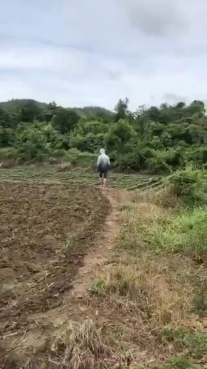 Đất vườn 3000m² tại Thôn Liên Sơn, Khánh Hòa - Chỉ 400 triệu