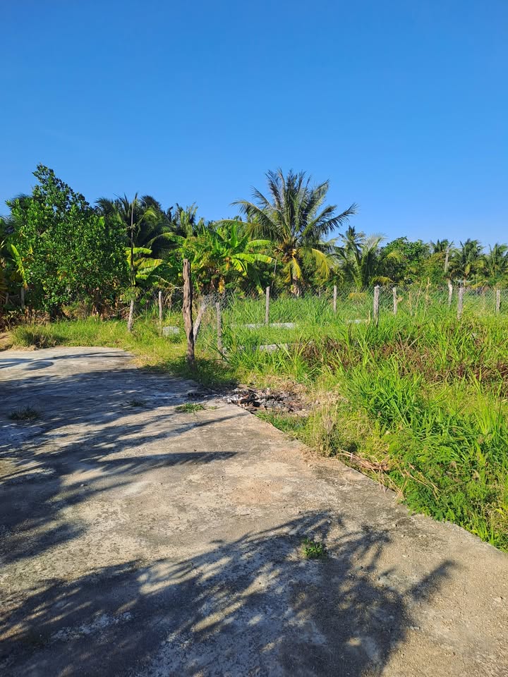 Đất vườn Ninh Chữ, Phan Rang 105m² giá 340 triệu - Không gian sống xanh mát!