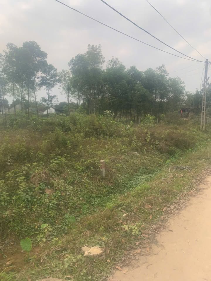 Lô đất mặt đường Nguyễn Phúc Hoàn, Hương Khê 152m² giá 900 triệu - Kinh doanh thuận lợi!