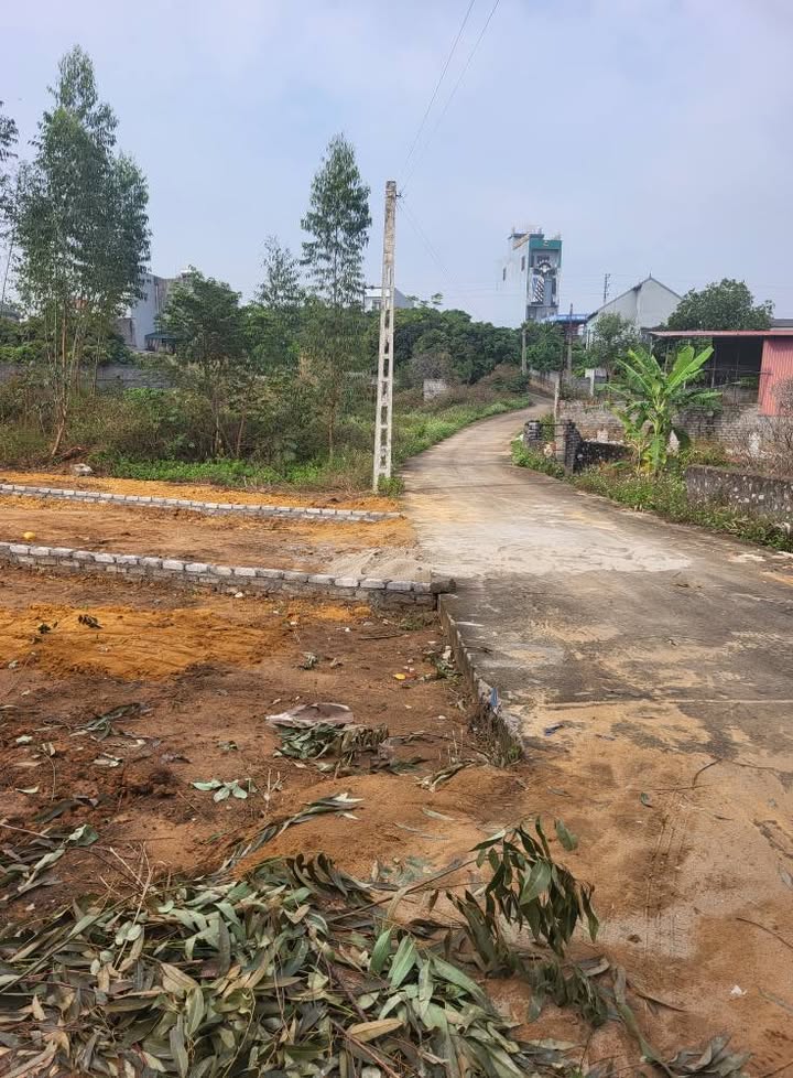 Đất nền Chính Thượng, Lan Mẫu 185m² giá thỏa thuận - Cơ hội đầu tư hiếm có!