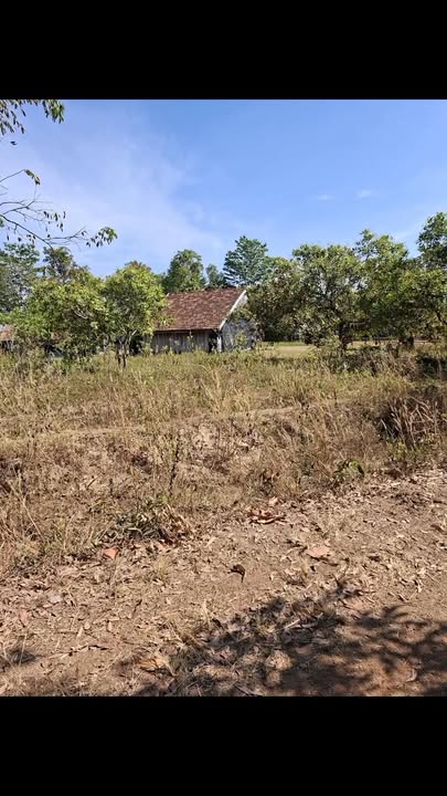 Đất Farm 2,8ha tại Ea M'droh, Đắk Lắk giá 1,35 tỷ - Cơ hội đầu tư tuyệt vời!