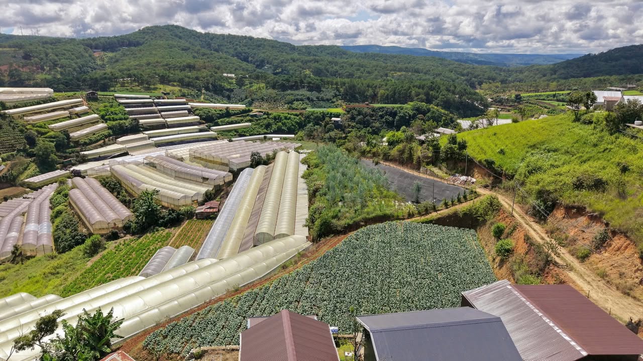 Đất nền 1.394m² Xuân Thọ Đà Lạt giá 4.5 tỷ - View đẹp gần KDL The CampVille