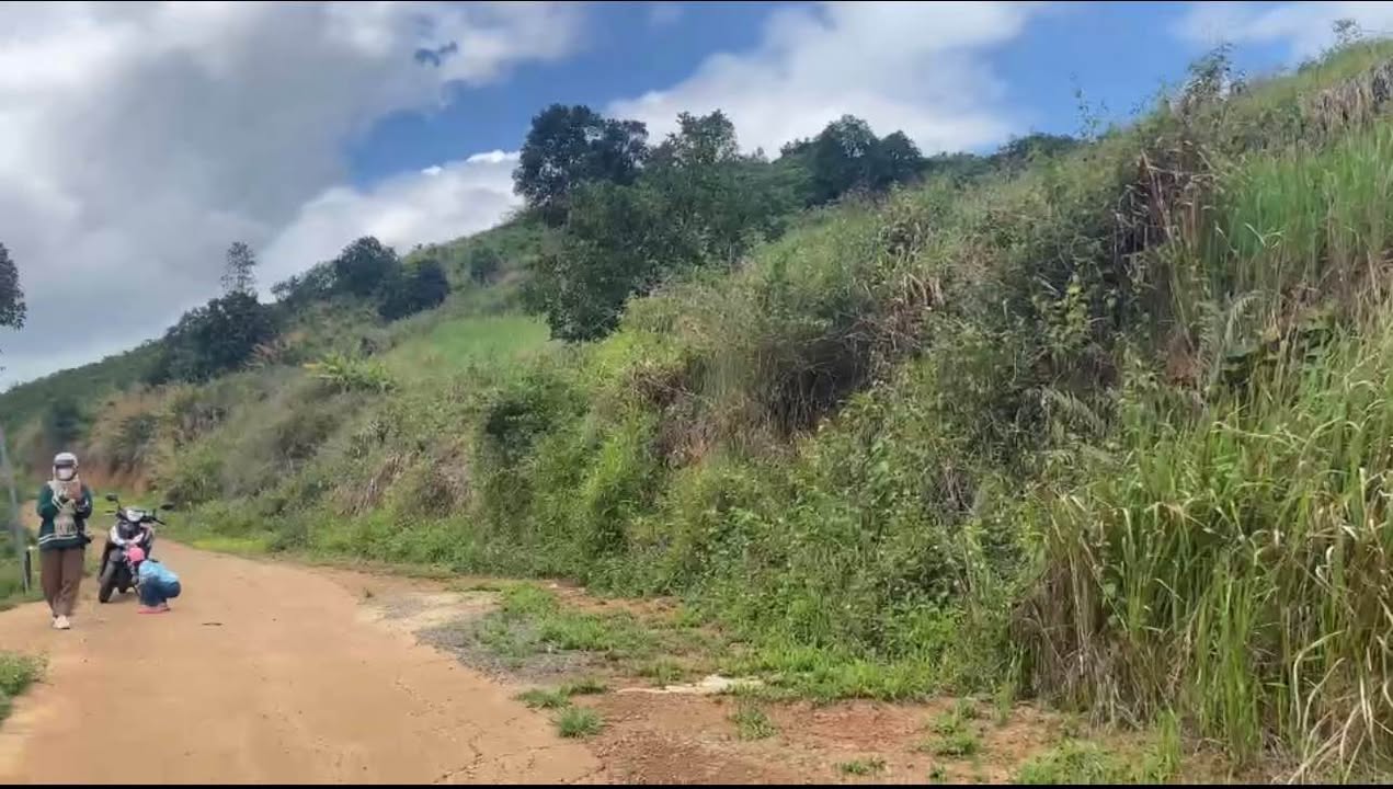 Đất nông nghiệp Mê Linh 1640m² giá 1.7 tỷ - Không khí trong lành và yên tĩnh!