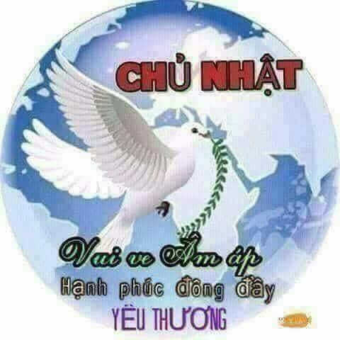 Đất nền 282m² tại Vĩnh Tân, Đồng Nai - Đường 8m, giá 2 tỷ thương lượng!