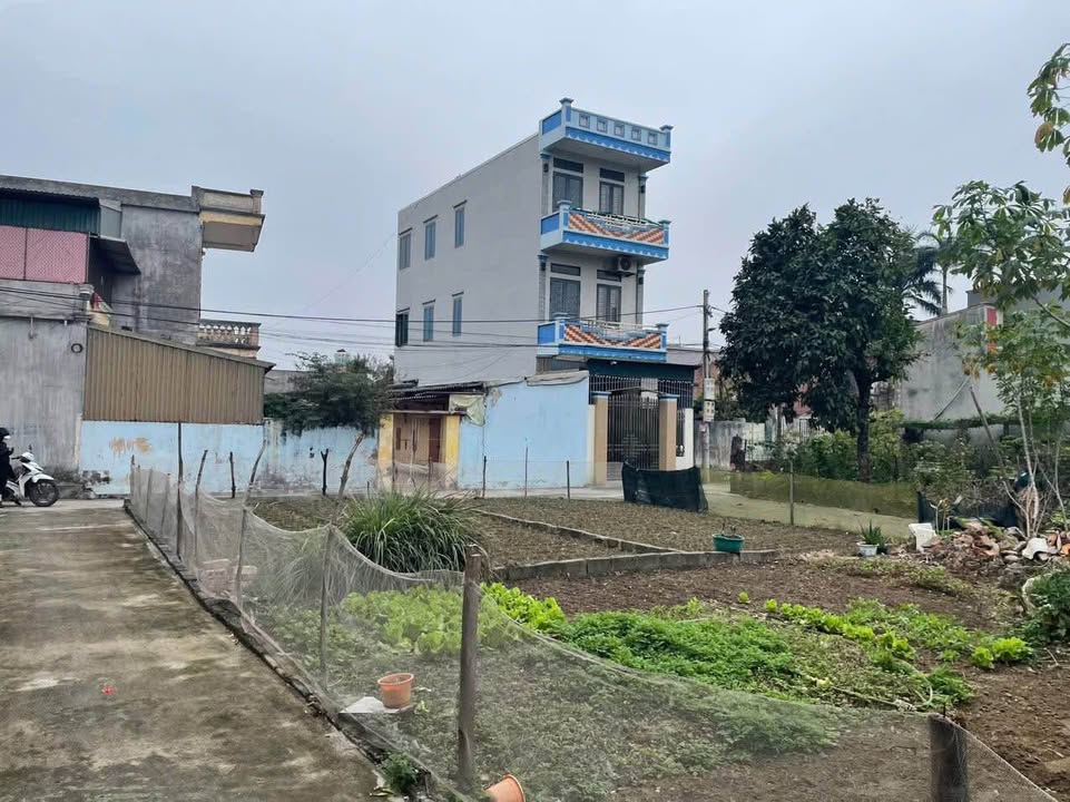 Đất nền Nghĩa Chính, Phú Xuân 50m² giá chỉ 600 triệu - Cần tiền bán gấp!