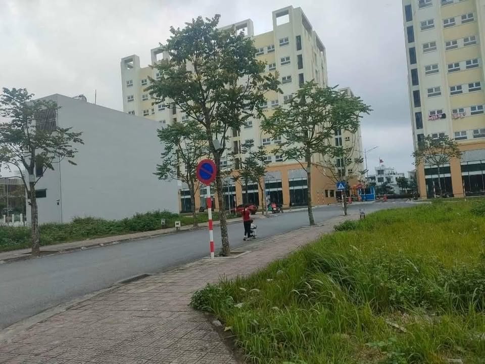 Căn hộ chung cư Vũ Phúc Thái Bình 44m² giá 9xx triệu - Full nội thất sang trọng!