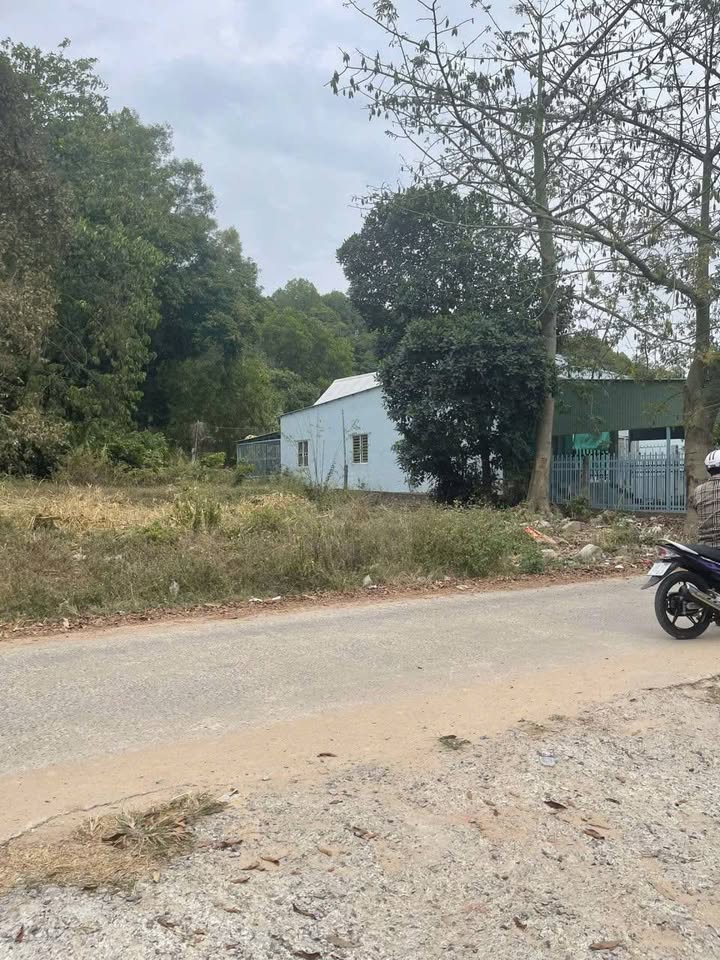 Đất nền Phú Quốc 1500m² giá 10 tỷ - Đường 6m, gần chợ và trường học!