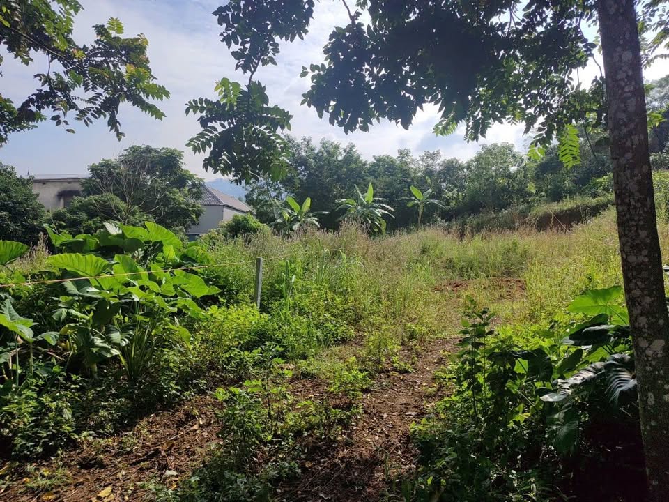 Đất nền 400m² tại Tân Hòa, Hòa Bình - Giá tốt, chính chủ bán gấp!