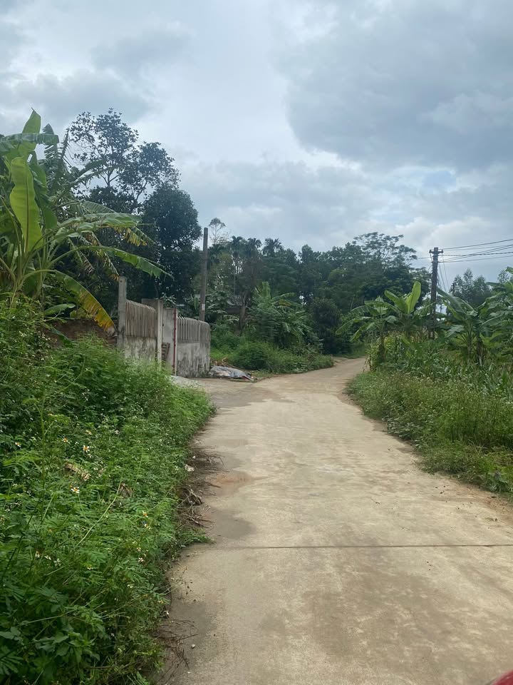 Đất nền Xã Hà Lộc, Thị xã Phú Thọ 75m² giá 900 triệu - Đầu tư thông minh!