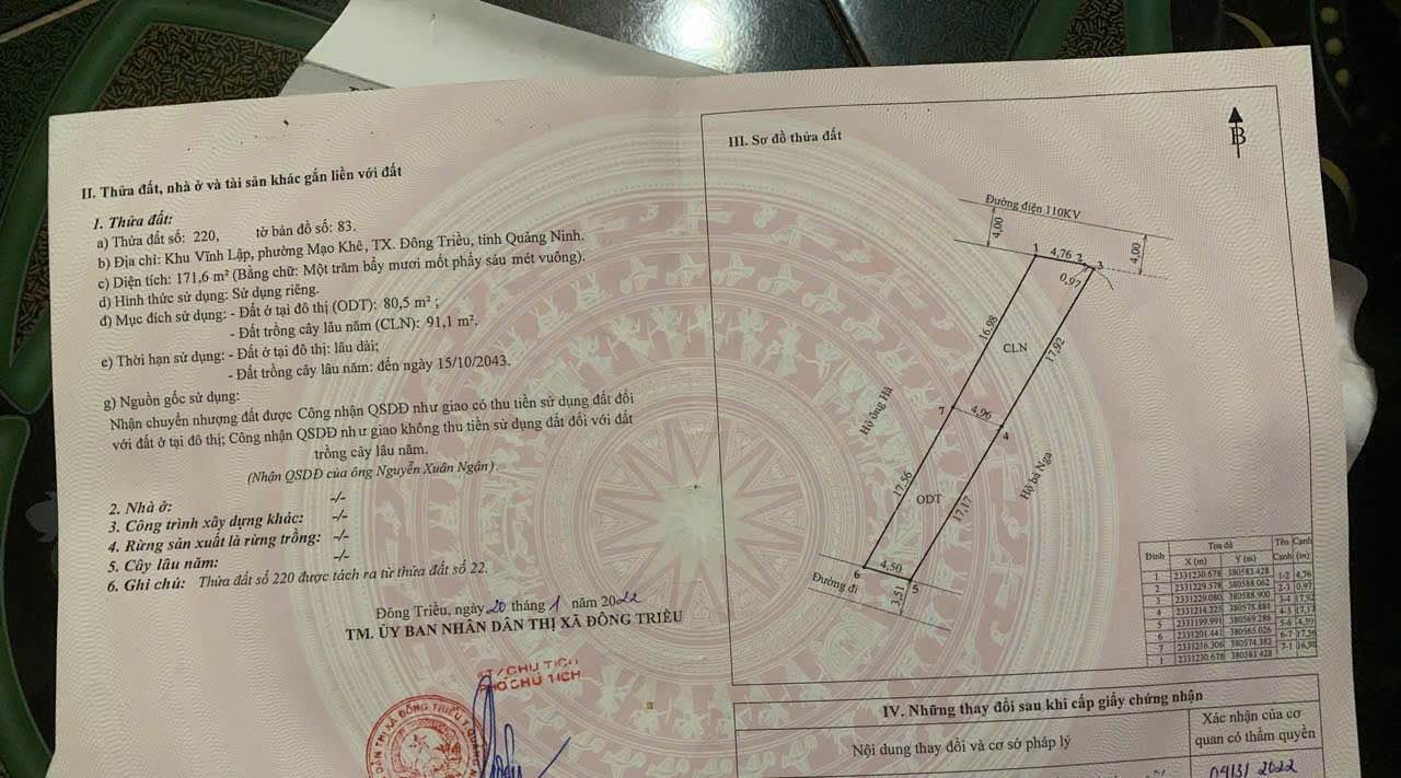 Đất thổ cư Mạo Khê Đông Triều 171,6m² giá 700 triệu - Cơ hội đầu tư tốt!