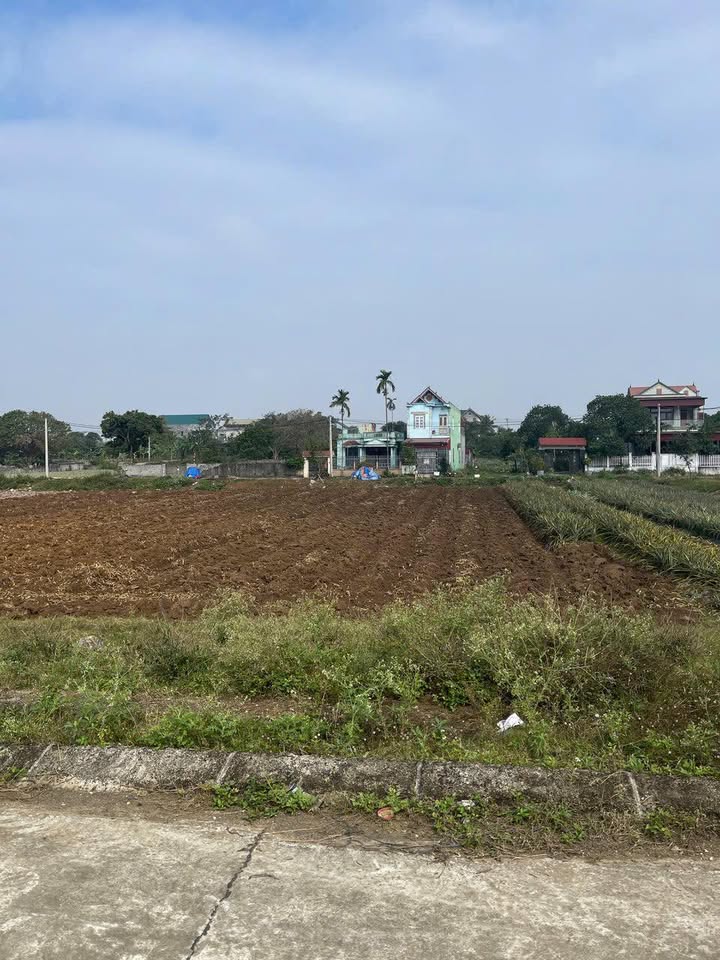 Đất nền Phường Tây Sơn, Tam Điệp 150m² giá 1.4 tỷ - Gần công viên, vị trí đắc địa!