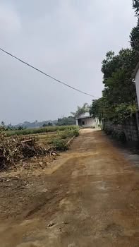 Đất ở Yên Thái, Quốc Oai 1046m² giá thỏa thuận - Lô góc 3 mặt tiền!