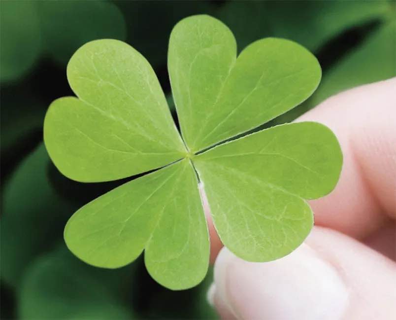 Nhà + Đất 750m² Nguyễn Văn Siêu, Quận Hoàn Kiếm - Đầu tư sinh lời ngay với thu nhập 50 triệu/tháng!