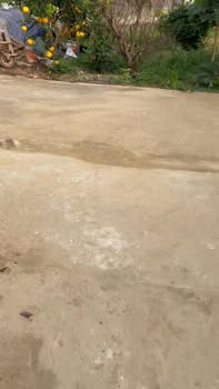 Đất nền phố Thanh Xuyên, Phường Trung Thành, 300m² - Cơ hội đầu tư hấp dẫn!