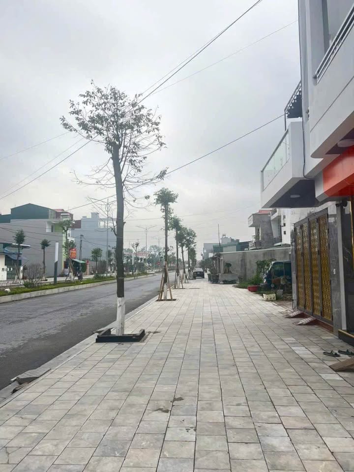 Đất nền mặt đường đôi Lương Như Học, 89m² giá chỉ 6 triệu - Cơ hội đầu tư tuyệt vời!