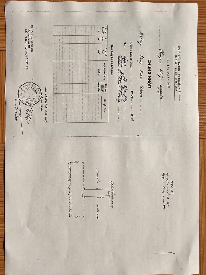 Đất nền mặt đường 203, Phường Thủy Nguyên, 100m² giá chỉ 5.6 tỷ - Đầu tư sinh lời tuyệt vời!