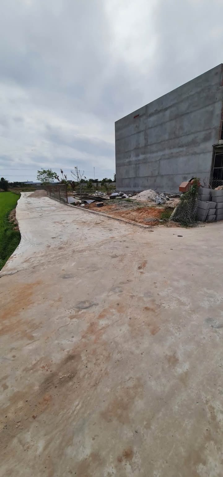 Đất nền 100m² tại Huyện Hàm Thuận Bắc - Bán gấp chỉ 600 triệu!