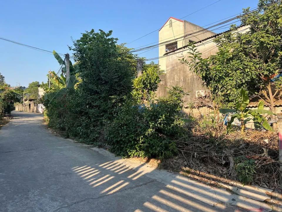 Đất nền Phường An Tường 115m² giá 2.2 tỷ - Đường ô tô tránh nhau, dân cư đông đúc!