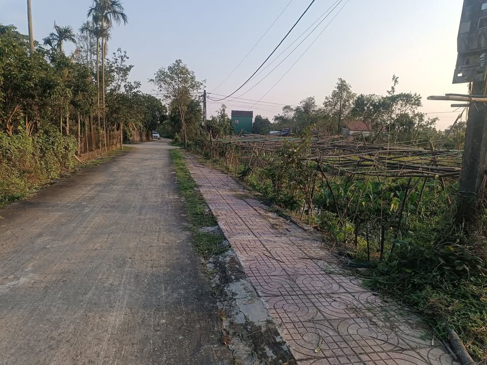 Đất nền Cẩm Bình, Hà Tĩnh 128m² giá 750 triệu - Đầu tư sinh lời tiềm năng!