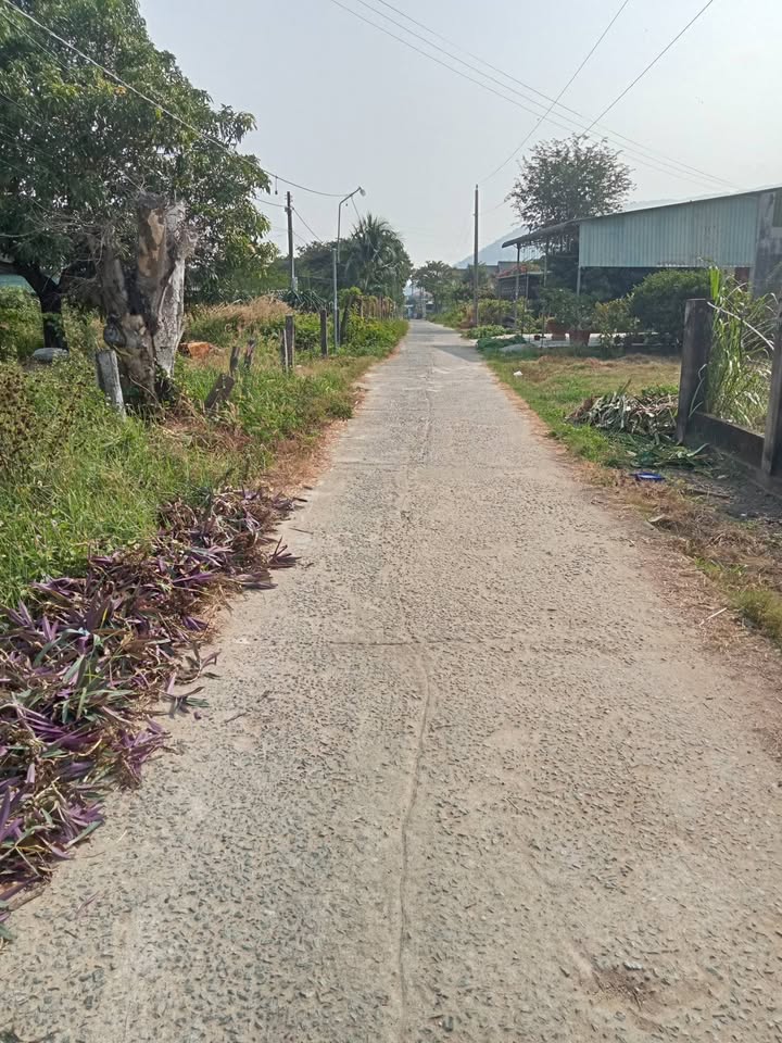 Lô đất mặt tiền đường bê tông lớn tại Thị trấn Thuận Nam, 600m² giá 1.55 tỷ - Đầu tư sinh lời ngay!