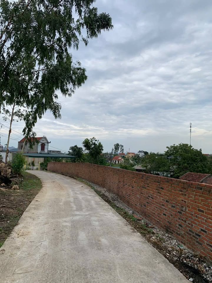 Đất nền Tân Tiên, Lê Lợi, 71m² giá 600 triệu - Đường thông, vị trí đẹp!