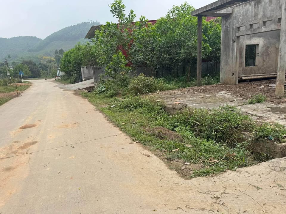 Đất nền rộng 422m² tại xã Cát Nê, giá chỉ 400 triệu - Cơ hội đầu tư tuyệt vời!