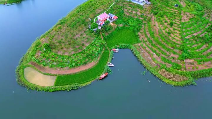 Farm nghỉ dưỡng Xã Cấm Sơn 8410m² giá 4 tỷ - Sẵn sàng đầu tư!