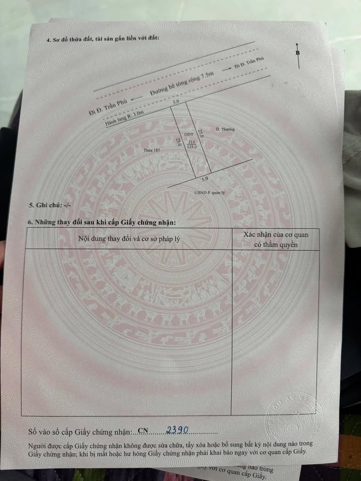 Đất thổ cư đường Trần Phú, 125m², giá thỏa thuận - Cơ hội đầu tư tuyệt vời!