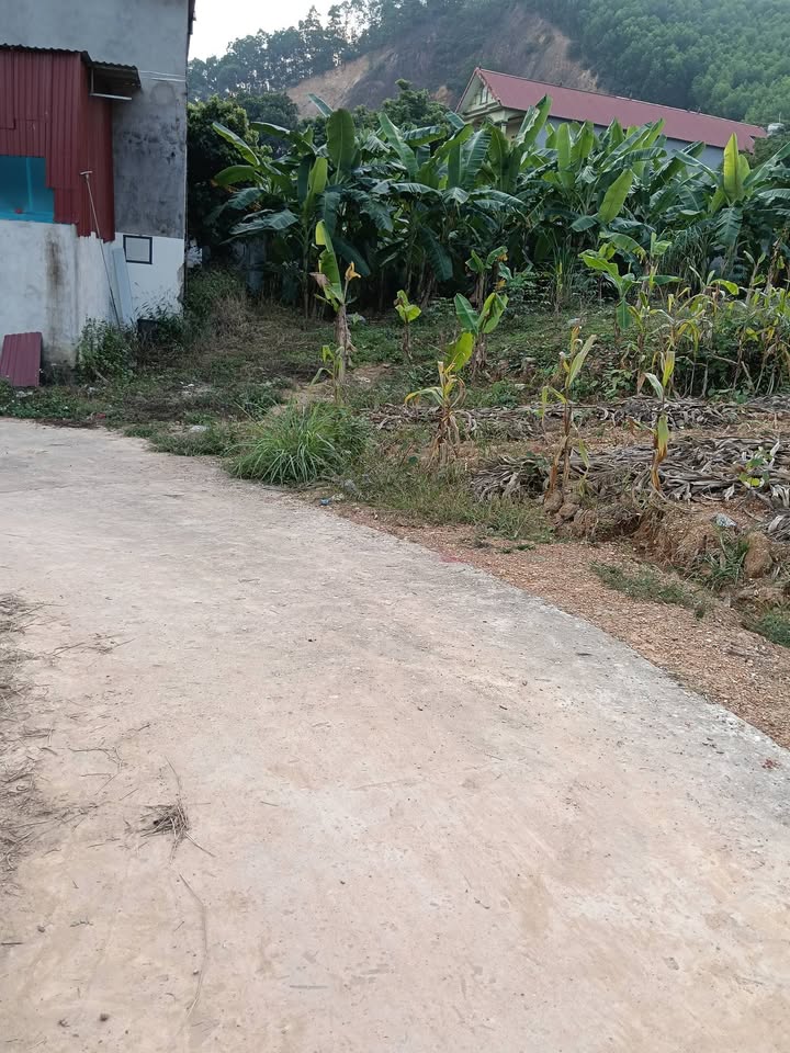 Đất thổ cư 190m² xã Hóa Trung giá 1 tỷ - Chính chủ bán gấp!