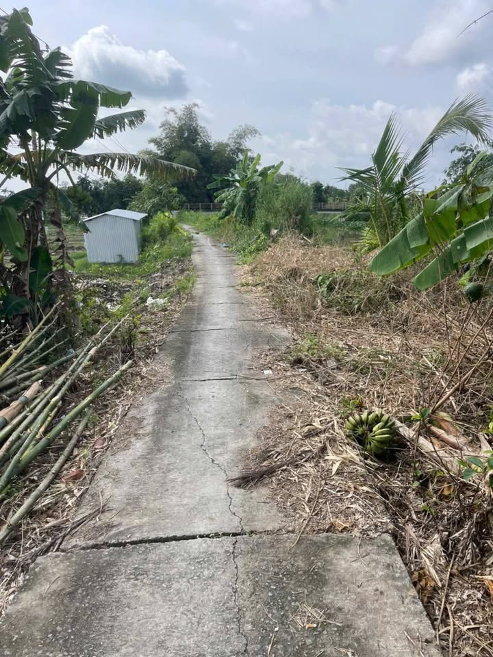 Đất nền 1000m² tại xã Hậu Mỹ Bắc B, Cái Bè chỉ 790 triệu - Cơ hội đầu tư tuyệt vời!