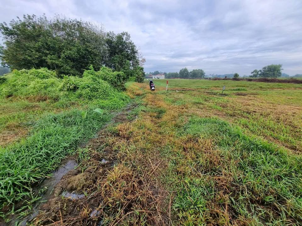 Đất mặt tiền Nguyễn Thị Nê, Củ Chi, 2.278m² - Giá chỉ 2.3 tỷ!