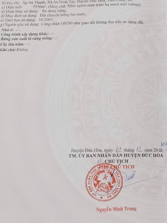 Đất Lúa Ấp An Thạnh, Xã An Ninh Tây, 5500m² - Cơ hội đầu tư hấp dẫn!