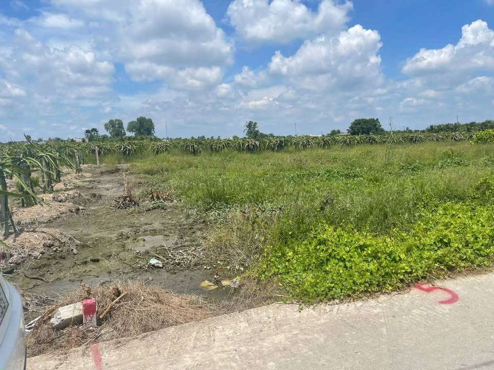 Đất nền Ấp 7 Phước Tân Hưng 135m² giá 360 triệu - Đầu tư sinh lời ngay!