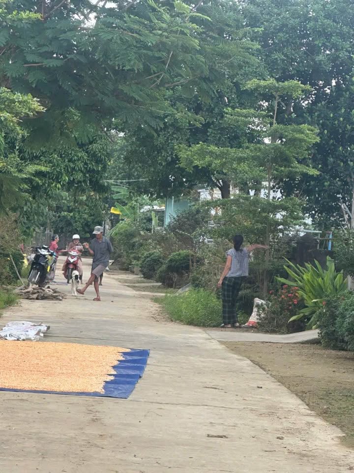 Đất nền Bêtông, Điện Bàn 184m² giá 500 triệu - Cơ hội đầu tư hấp dẫn!