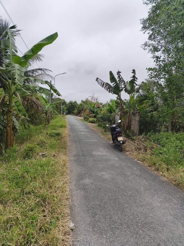 Bán FrontHouse mặt tiền đường nhựa Tiểu Ly, Vĩnh Long 209m² - Đầu tư sinh lời ngay!