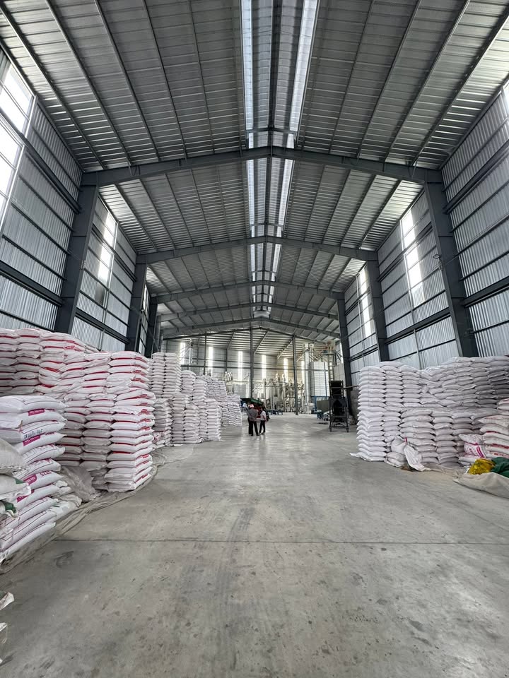 Nhà máy lau bóng gạo 2.700m² tại QL1A, An Cư, Cái Bè, giá 55 tỷ - Đầu tư sinh lời ngay!